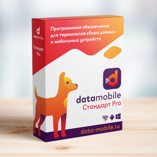 ПО DataMobile, версия Стандарт Pro в Екатеринбурге